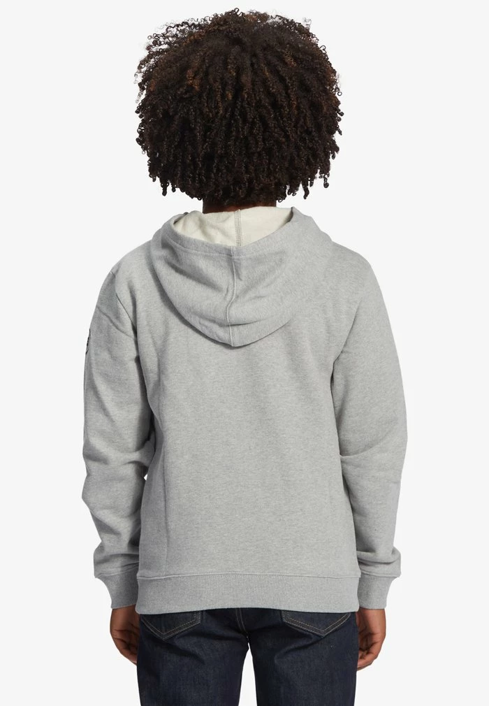 Hoodie - heather grey DC Shoes Hoodie - Heather Grey -DC Shoes shop 189ebc29ddda4bcca1d8066b71f650e1