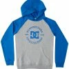 DC Shoes STAR PILOT - Hoodie - Heather Grey/turkish Sea -DC Shoes shop 26b1b5705f314f9ab1e963177f100e4e