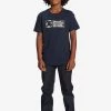 DC Shoes DENSITY ZONE - Print T-shirt - Navy Blazer -DC Shoes shop 2b406b09600f45418a6bacc2c95dc753