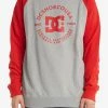 DC Shoes STAR PILOT - Sweatshirt - Heather Grey/racing Red