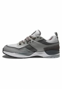 DC Shoes E TRIBEKA SE - Trainers - Grey/grey/white