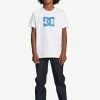 DC Shoes STAR FILL - Print T-shirt - White -DC Shoes shop 775e1bef08574a13a4c8e82a2d7e1a1c