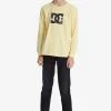 DC Shoes LONGSLEEVE - Long Sleeved Top - Pale Banana -DC Shoes shop 8aa4f985421f42c896f649546a219c4d