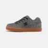 DC Shoes PURE SE UNISEX - Trainers - Carbon