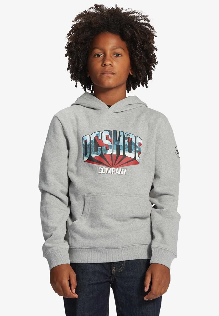 Hoodie - heather grey DC Shoes Hoodie - Heather Grey -DC Shoes shop e727c98ce89e4c218b16ccb0da672251