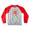 DC Shoes STAR PILOT - Sweatshirt - Heather Grey/racing Red