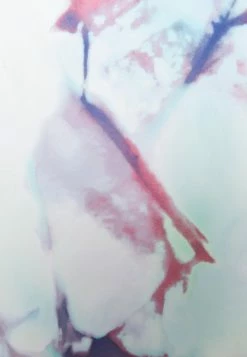 DC Shoes SAVVY ANORAK - Snowboard Jacket - Light Blue -DC Shoes shop f8434126039d451fb7b83c863122d680